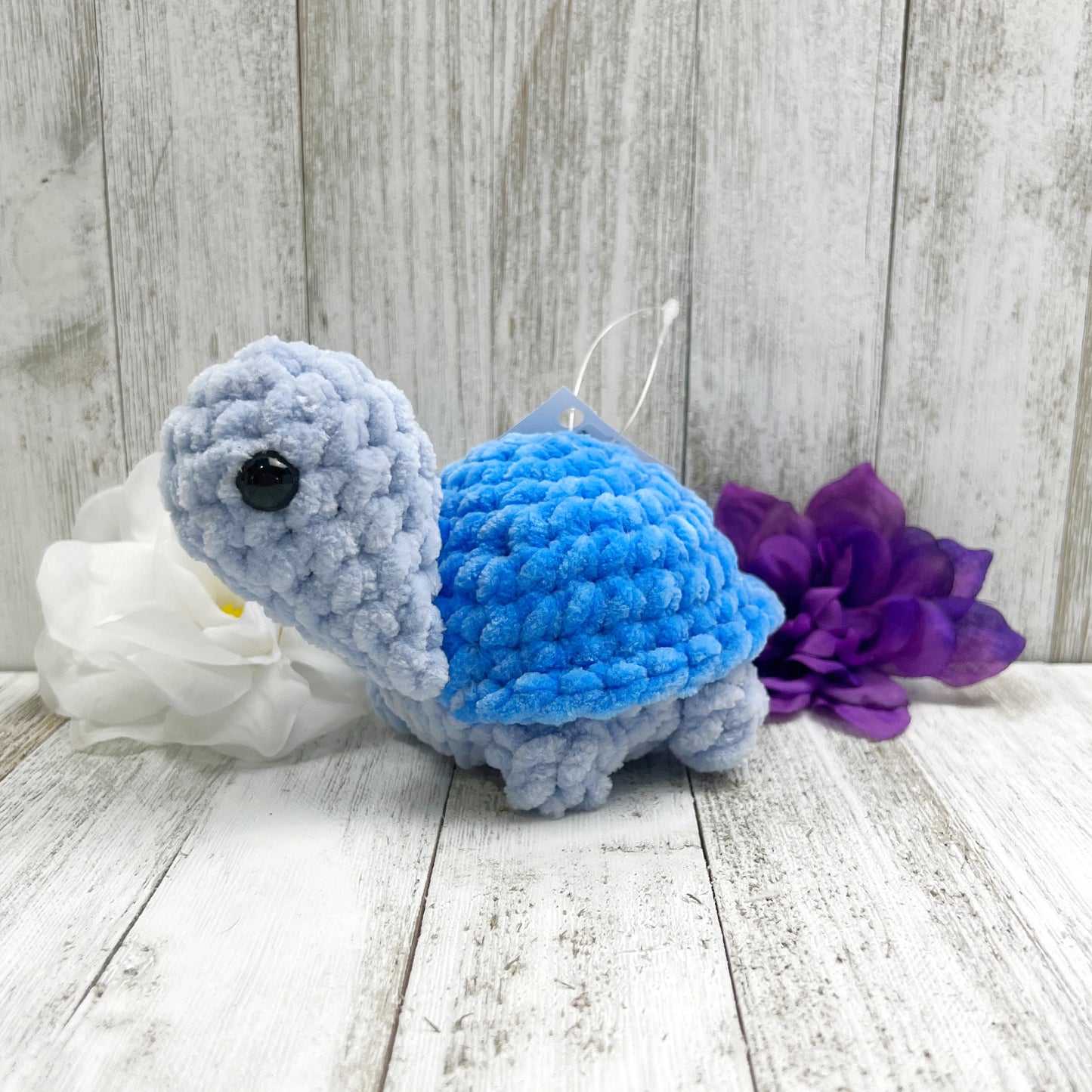 Small Tortoise | Ready to Ship