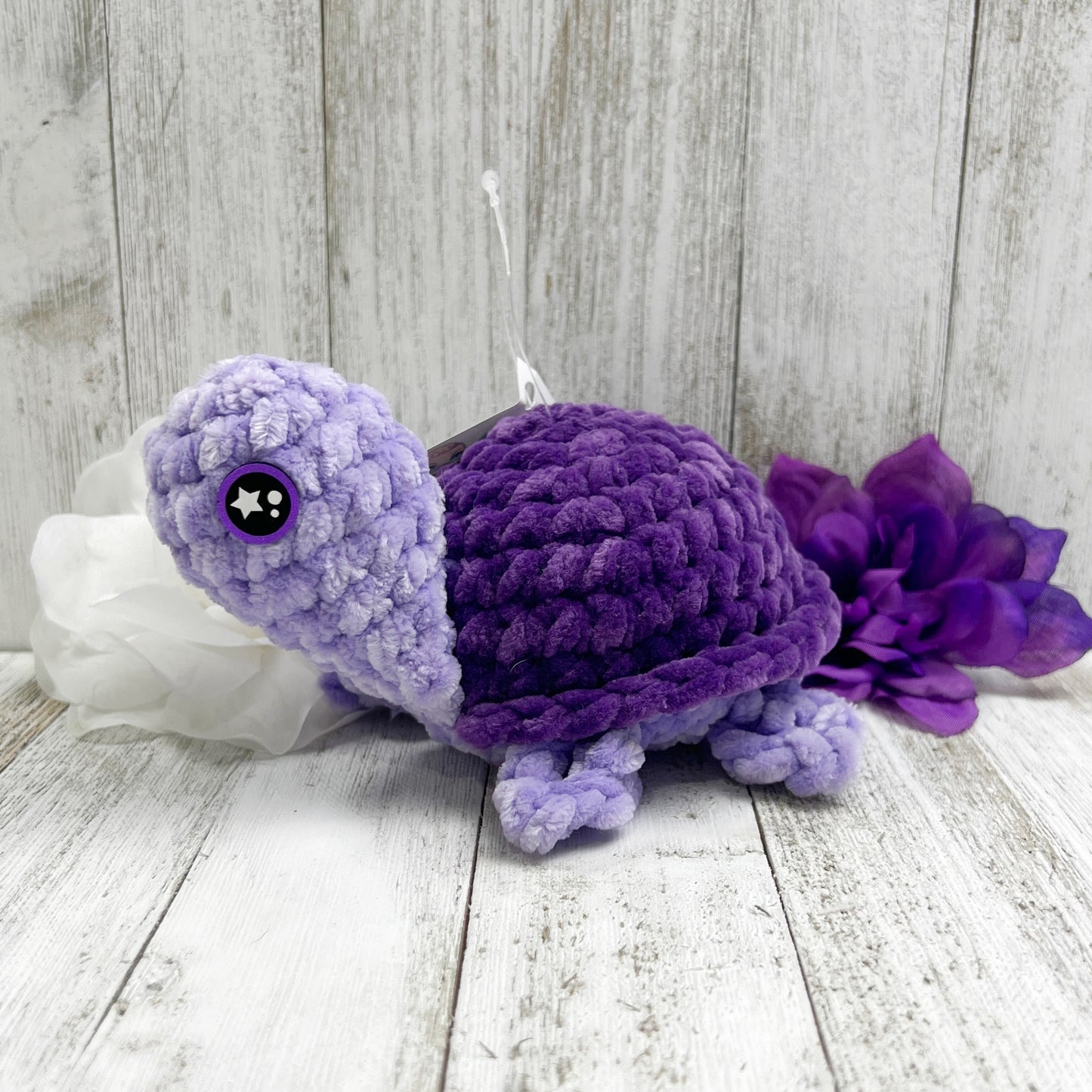 Small Turtle | Ready to Ship