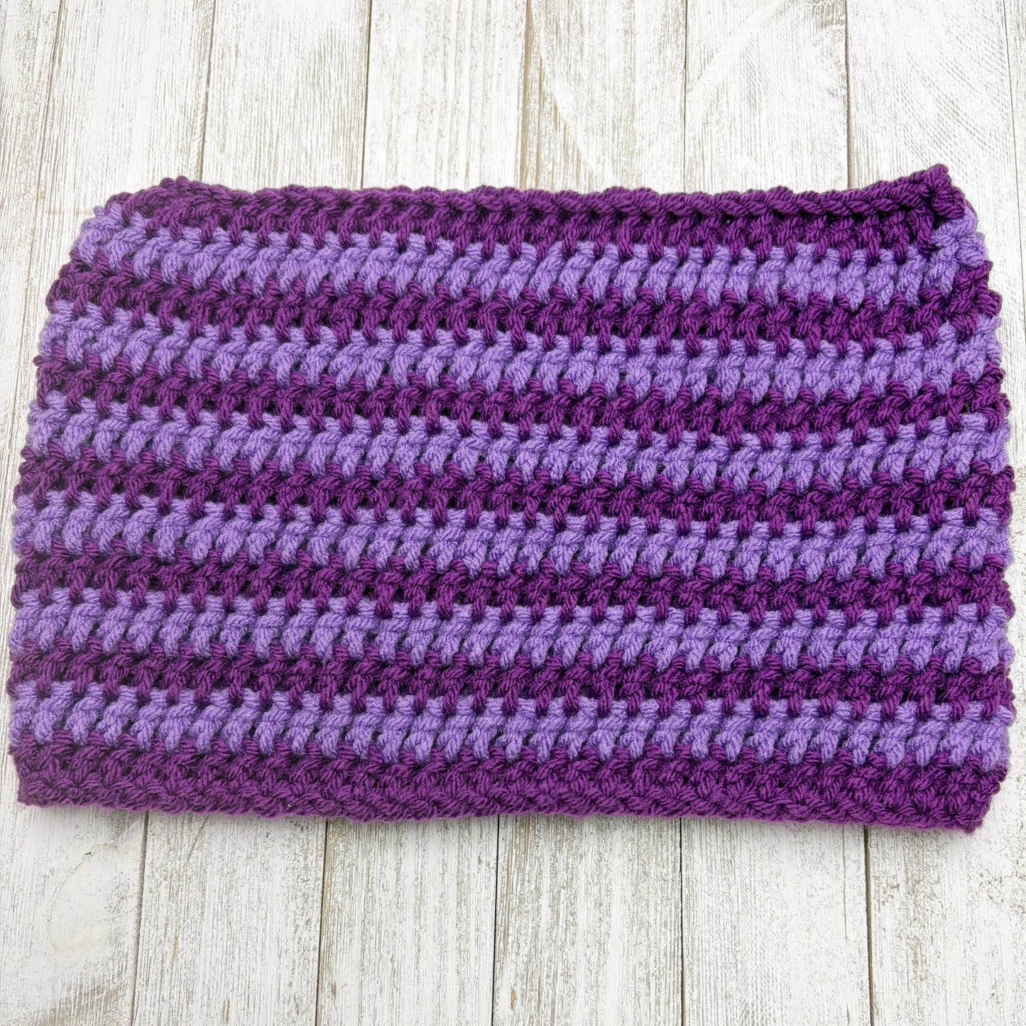 Purple Stripe Cat Ear Beanie Adult Med