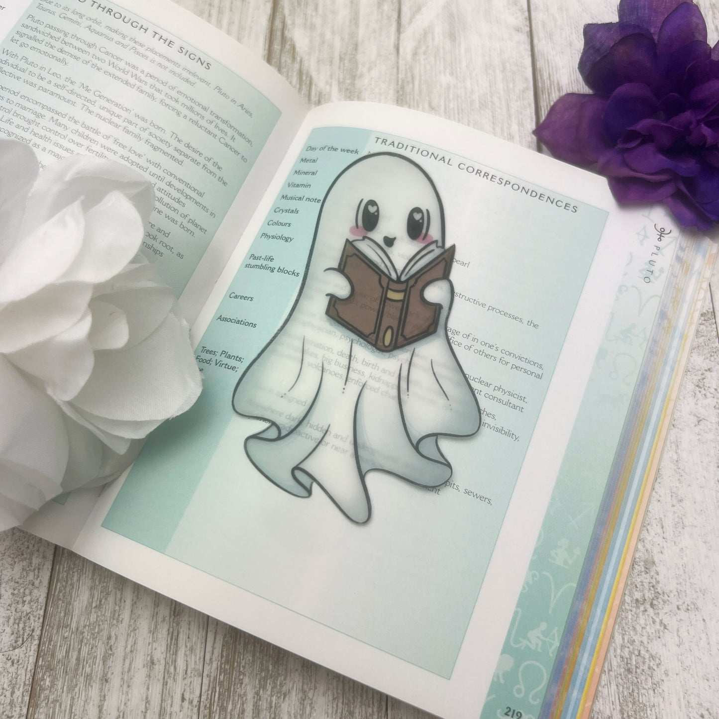 Ghost Reading a Book 2.75x4.75" Transparent Bookmark